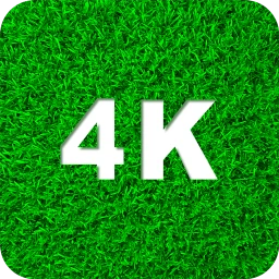 Papéis de parede verdes 4K