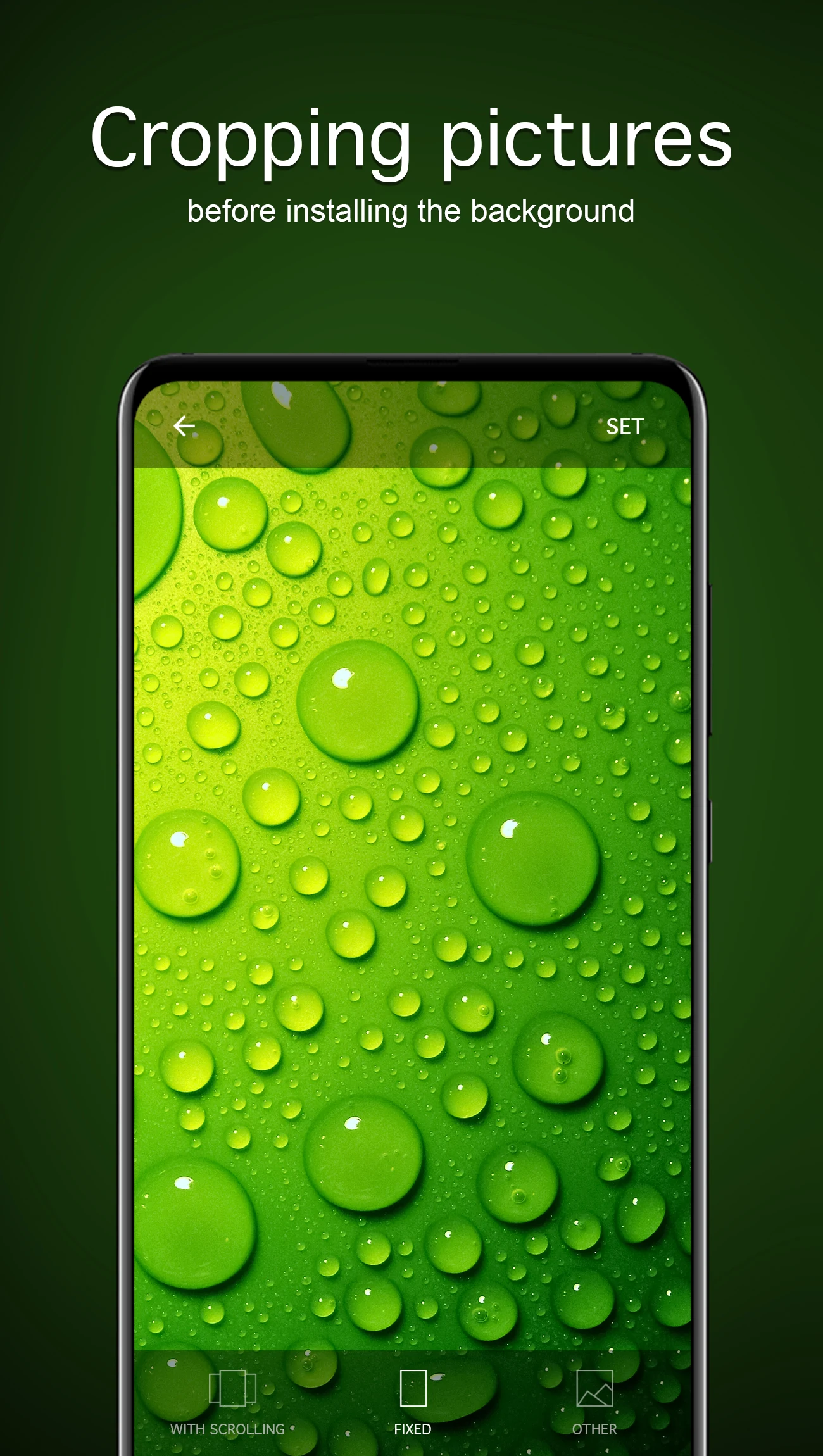 Green Wallpapers 4K screenshot