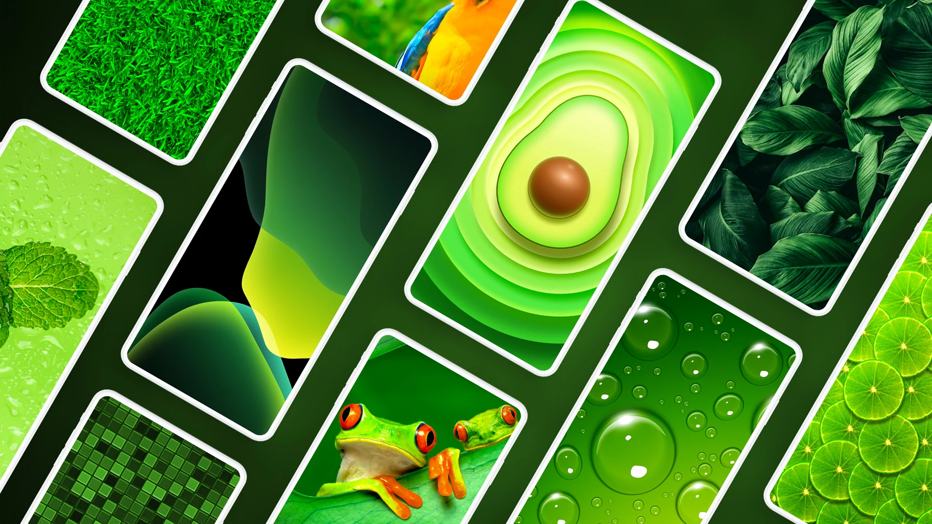 Green Wallpapers 4K screenshot